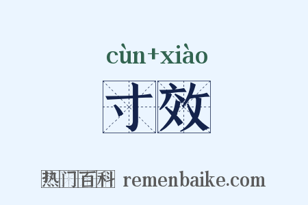 寸效是什么意思的图片